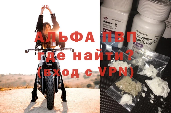 эйфоретик Беломорск