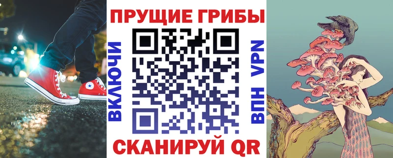 сайты даркнета клад  Каменск-Уральский  Псилоцибиновые грибы прущие грибы 